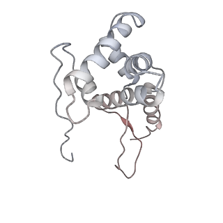 11768_7afk_G_v1-1
Bacterial 30S ribosomal subunit assembly complex state D (head domain)