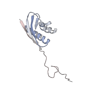 11768_7afk_I_v1-1
Bacterial 30S ribosomal subunit assembly complex state D (head domain)