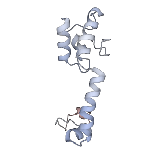 11768_7afk_M_v1-1
Bacterial 30S ribosomal subunit assembly complex state D (head domain)