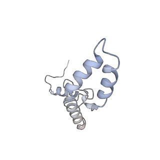 11768_7afk_N_v1-1
Bacterial 30S ribosomal subunit assembly complex state D (head domain)