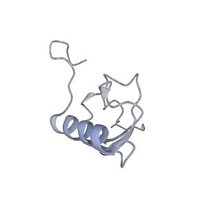 11768_7afk_S_v1-1
Bacterial 30S ribosomal subunit assembly complex state D (head domain)