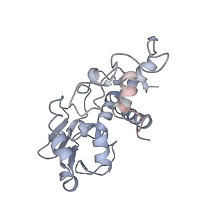 11769_7afl_D_v1-1
Bacterial 30S ribosomal subunit assembly complex state D (multibody refinement for body domain of 30S ribosome)