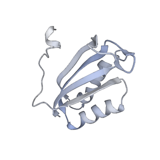11769_7afl_F_v1-1
Bacterial 30S ribosomal subunit assembly complex state D (multibody refinement for body domain of 30S ribosome)