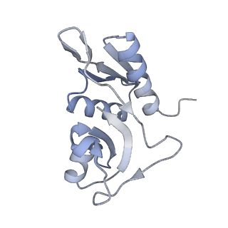 11769_7afl_H_v1-1
Bacterial 30S ribosomal subunit assembly complex state D (multibody refinement for body domain of 30S ribosome)