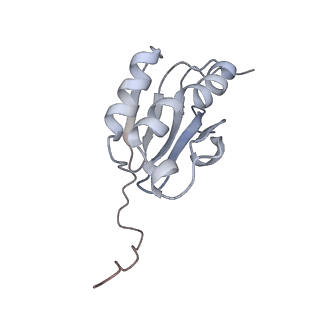 11769_7afl_K_v1-1
Bacterial 30S ribosomal subunit assembly complex state D (multibody refinement for body domain of 30S ribosome)