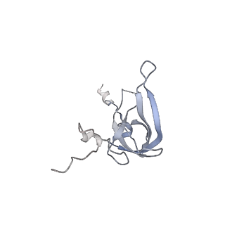 11769_7afl_L_v1-1
Bacterial 30S ribosomal subunit assembly complex state D (multibody refinement for body domain of 30S ribosome)