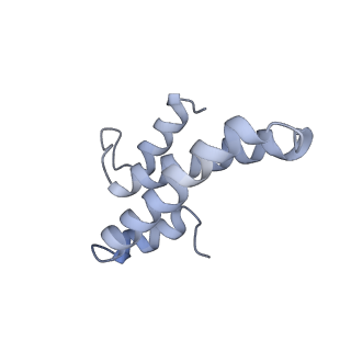 11769_7afl_O_v1-1
Bacterial 30S ribosomal subunit assembly complex state D (multibody refinement for body domain of 30S ribosome)
