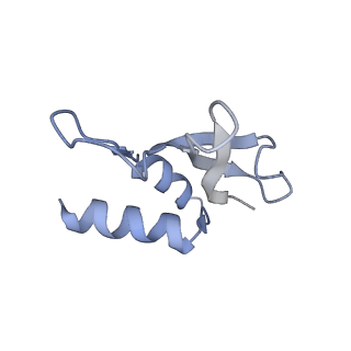 11769_7afl_P_v1-1
Bacterial 30S ribosomal subunit assembly complex state D (multibody refinement for body domain of 30S ribosome)