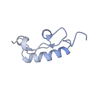 11769_7afl_R_v1-1
Bacterial 30S ribosomal subunit assembly complex state D (multibody refinement for body domain of 30S ribosome)