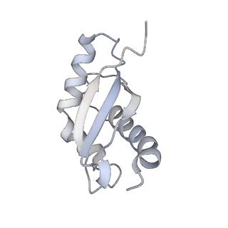 11769_7afl_V_v1-1
Bacterial 30S ribosomal subunit assembly complex state D (multibody refinement for body domain of 30S ribosome)