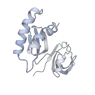 11769_7afl_X_v1-1
Bacterial 30S ribosomal subunit assembly complex state D (multibody refinement for body domain of 30S ribosome)