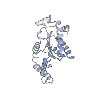 11771_7afn_B_v1-1
Bacterial 30S ribosomal subunit assembly complex state B (head domain)