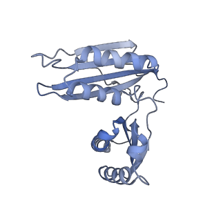 11771_7afn_C_v1-1
Bacterial 30S ribosomal subunit assembly complex state B (head domain)
