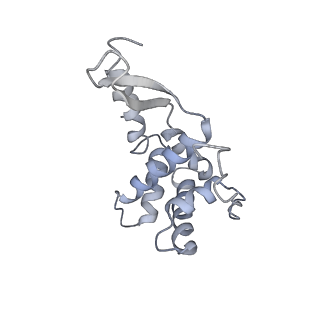 11771_7afn_G_v1-1
Bacterial 30S ribosomal subunit assembly complex state B (head domain)