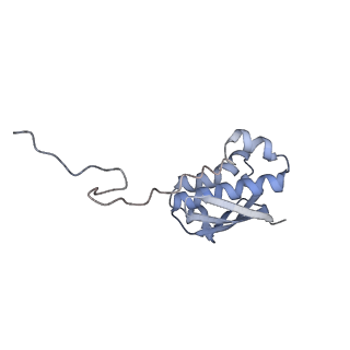 11771_7afn_I_v1-1
Bacterial 30S ribosomal subunit assembly complex state B (head domain)
