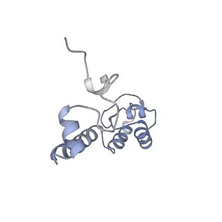 11771_7afn_M_v1-1
Bacterial 30S ribosomal subunit assembly complex state B (head domain)