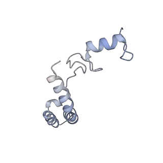 11771_7afn_N_v1-1
Bacterial 30S ribosomal subunit assembly complex state B (head domain)