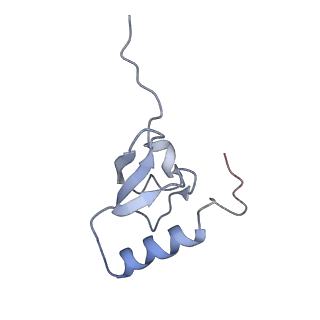 11771_7afn_S_v1-1
Bacterial 30S ribosomal subunit assembly complex state B (head domain)