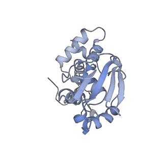 11772_7afo_D_v1-1
Bacterial 30S ribosomal subunit assembly complex state B (body domain)