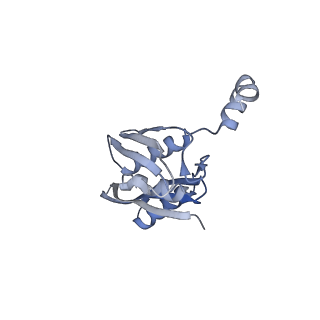 11772_7afo_E_v1-1
Bacterial 30S ribosomal subunit assembly complex state B (body domain)
