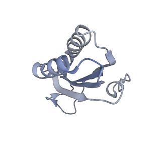 11772_7afo_F_v1-1
Bacterial 30S ribosomal subunit assembly complex state B (body domain)
