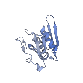 11772_7afo_H_v1-1
Bacterial 30S ribosomal subunit assembly complex state B (body domain)