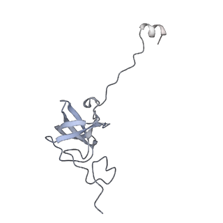11772_7afo_L_v1-1
Bacterial 30S ribosomal subunit assembly complex state B (body domain)