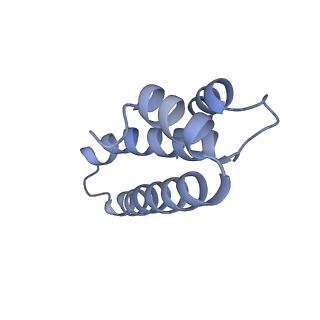 11772_7afo_O_v1-1
Bacterial 30S ribosomal subunit assembly complex state B (body domain)