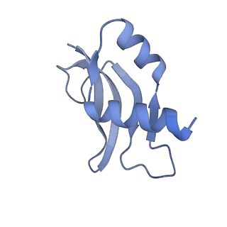 11772_7afo_P_v1-1
Bacterial 30S ribosomal subunit assembly complex state B (body domain)