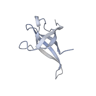 11772_7afo_Q_v1-1
Bacterial 30S ribosomal subunit assembly complex state B (body domain)