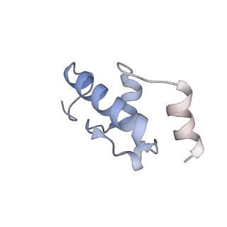 11772_7afo_R_v1-1
Bacterial 30S ribosomal subunit assembly complex state B (body domain)