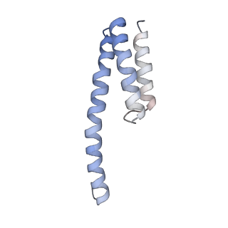 11772_7afo_T_v1-1
Bacterial 30S ribosomal subunit assembly complex state B (body domain)