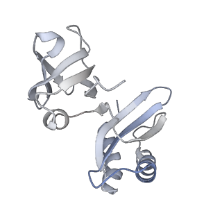 11772_7afo_X_v1-1
Bacterial 30S ribosomal subunit assembly complex state B (body domain)