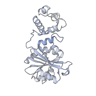 11772_7afo_Y_v1-1
Bacterial 30S ribosomal subunit assembly complex state B (body domain)