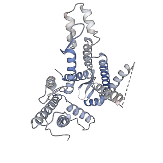 11774_7aft_A_v1-2
Cryo-EM structure of the signal sequence-engaged post-translational Sec translocon
