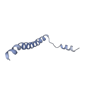 11774_7aft_C_v1-2
Cryo-EM structure of the signal sequence-engaged post-translational Sec translocon