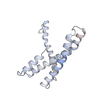 11774_7aft_E_v1-2
Cryo-EM structure of the signal sequence-engaged post-translational Sec translocon