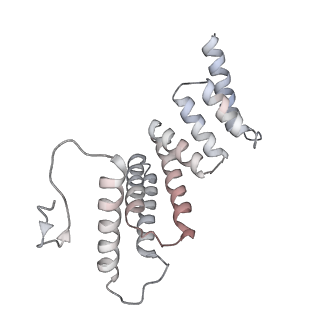 11774_7aft_F_v1-2
Cryo-EM structure of the signal sequence-engaged post-translational Sec translocon