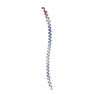 15395_8afe_B_v1-0
Cryo-EM structure of crescentin filaments (stutter mutant, C1 symmetry and small box)