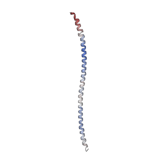 15395_8afe_B_v1-1
Cryo-EM structure of crescentin filaments (stutter mutant, C1 symmetry and small box)