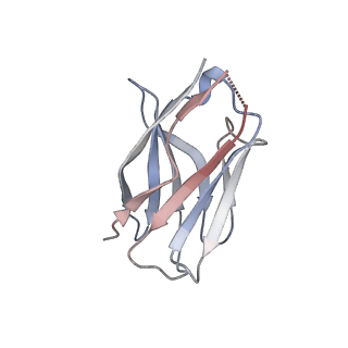 15395_8afe_C_v1-0
Cryo-EM structure of crescentin filaments (stutter mutant, C1 symmetry and small box)
