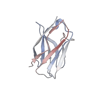 15395_8afe_C_v1-1
Cryo-EM structure of crescentin filaments (stutter mutant, C1 symmetry and small box)