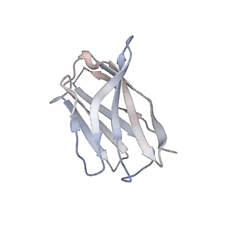 15395_8afe_D_v1-0
Cryo-EM structure of crescentin filaments (stutter mutant, C1 symmetry and small box)