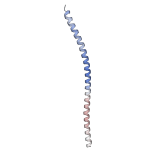15395_8afe_F_v1-0
Cryo-EM structure of crescentin filaments (stutter mutant, C1 symmetry and small box)