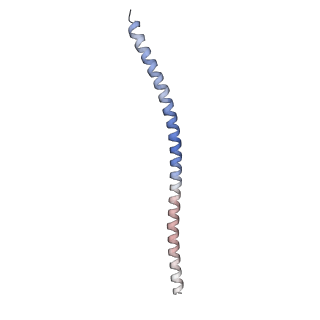 15395_8afe_F_v1-1
Cryo-EM structure of crescentin filaments (stutter mutant, C1 symmetry and small box)