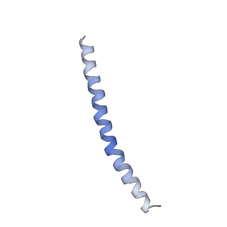 15395_8afe_G_v1-0
Cryo-EM structure of crescentin filaments (stutter mutant, C1 symmetry and small box)