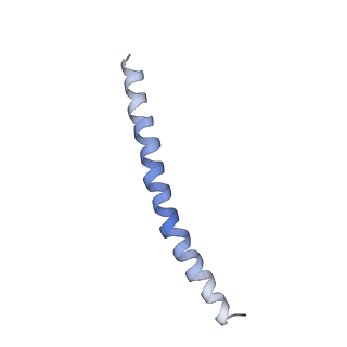 15395_8afe_G_v1-1
Cryo-EM structure of crescentin filaments (stutter mutant, C1 symmetry and small box)