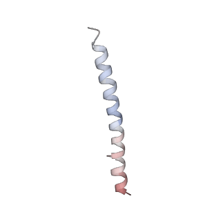 15395_8afe_H_v1-0
Cryo-EM structure of crescentin filaments (stutter mutant, C1 symmetry and small box)