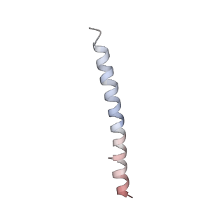 15395_8afe_H_v1-1
Cryo-EM structure of crescentin filaments (stutter mutant, C1 symmetry and small box)