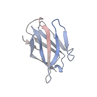 15395_8afe_I_v1-0
Cryo-EM structure of crescentin filaments (stutter mutant, C1 symmetry and small box)